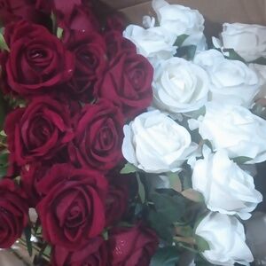 Lot of 50 Stem of Red And White Rose